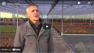 Schoner Nederland over Naturaplants